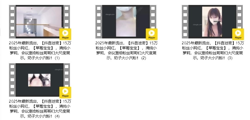29075011734