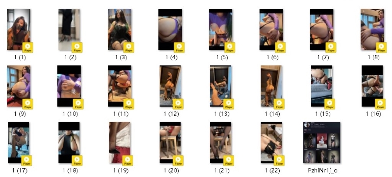 31051529928