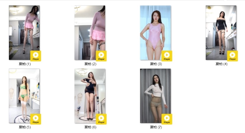 06065545517