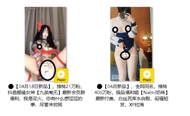 26073138763