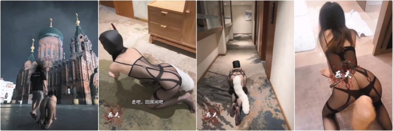 13015050329