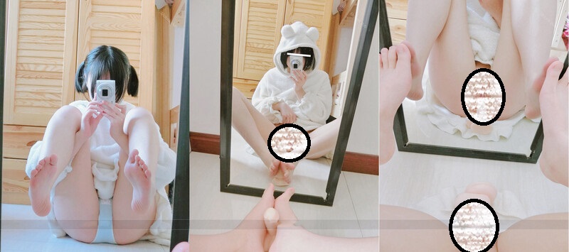 29083646216