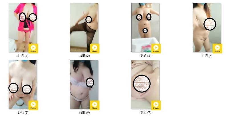 31095112763